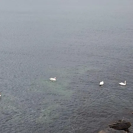 The White 7 Несебр