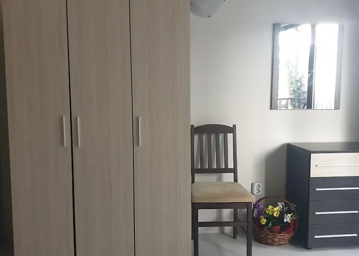 The White 7 ネセバル