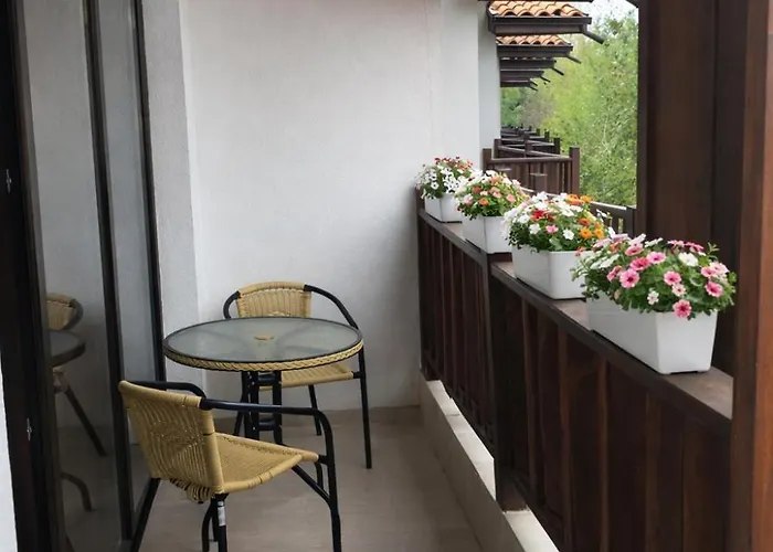 The White 7 ネセバル